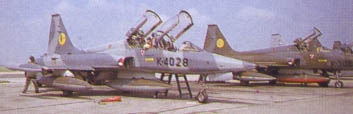 An NF-5Bs of No.316 Sqn.