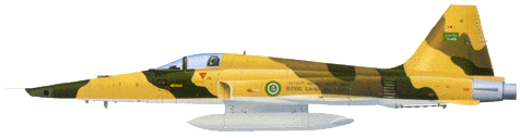 RF-5E of the RSAF